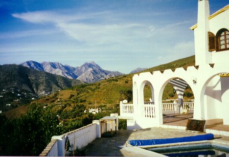 Ausblick am Pool